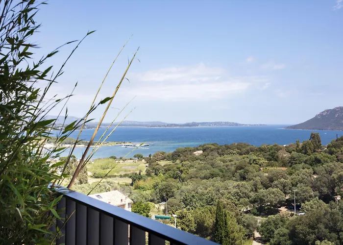 Alcyon Porto-Vecchio (Corsica)