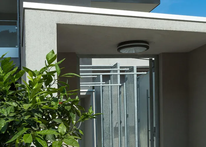 Alcyon Porto-Vecchio